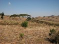 /album/fotogaleria/tanzania-mountains-jpg/