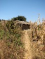 /album/fotogaleria/tanzania-walk-jpg/